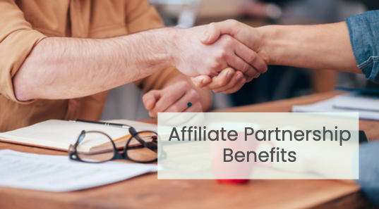 Affiliate B2B Partnerships Will Supercharge Your Business! Part 2